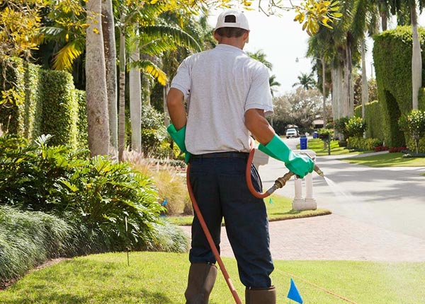 About Garner AR Pest Control Pros
